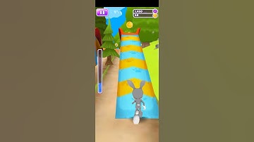 Bunny Run|Bunny Run Android Gameplay