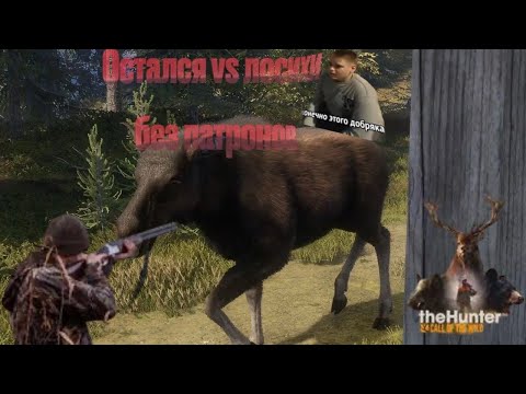 Видео: Олени, лоси, зайчики их так много, а я один ~TheHunter Call of the Wild