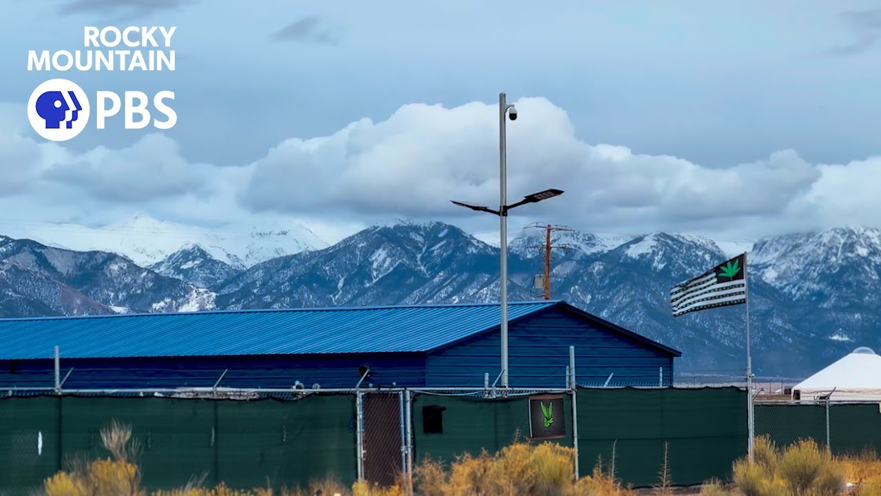 Learning to love a 420-acre cannabis farm