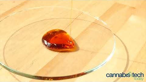 Cannabis Extraction Company Green Mill Supercritical on Real-Time Winterization