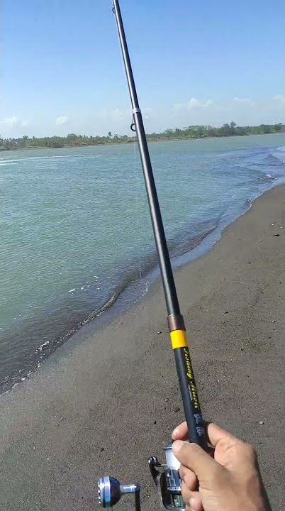 mancing mania