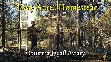 Coturnix Quail Aviary DIY Off Grid (More Birds for the Homestead!)