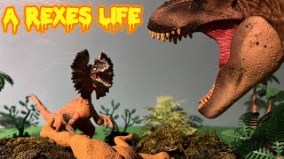 “A Rexes life” a Hammond collection short film