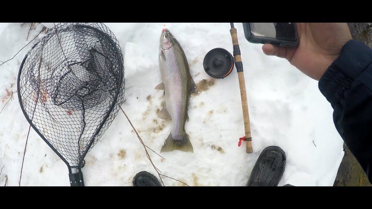 Catching dinner trout with Kingpin Kinetic centerpin 