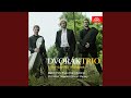 Miniature de la vidéo de la chanson Dumky, Op. 90, B 166: Iv. Andante Moderato