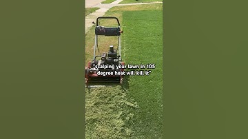 Bermuda grass scalp recovery mid summer DFW