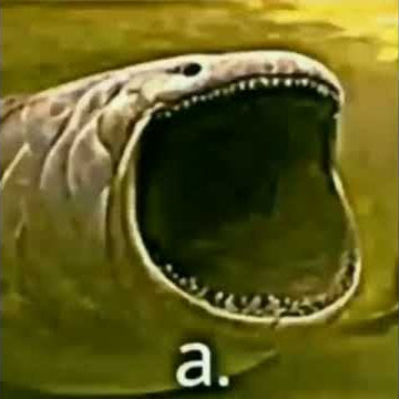 a. - Bloop Fish