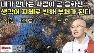 [돈오53] 내가 만나는 사람이 곧 응화신, 생각이 지혜로 변해 부처가 된다