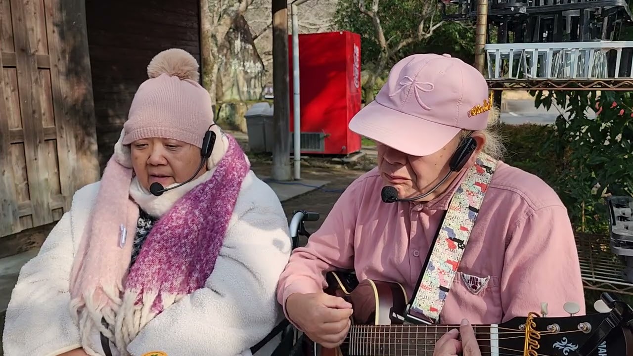 Swingy ｢廃墟の鳩｣(ザ・タイガース)