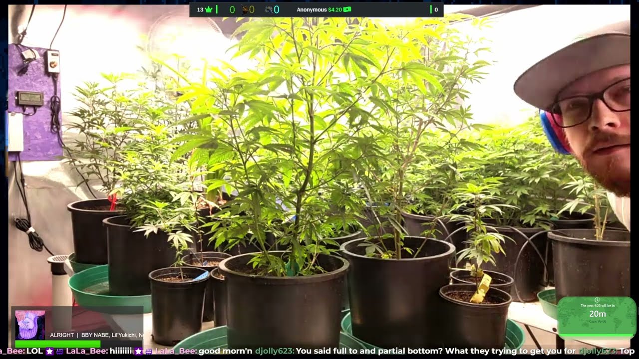 Garden Update and Partial Harvest