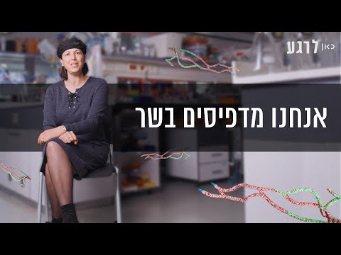 וִידֵאוֹ: מה מייצג CTP בהדפסה?