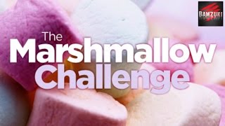 Marshmallow Challenge