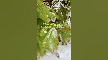 ~🌱Это должна знать каждая травница!!! 🌱🍄