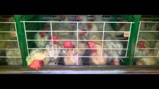 2011 12 23 - Full 6 - 4A-1912