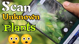 SCAN PLANTS & TREES GET IDENTIFIED 📸🌱 MrTechG