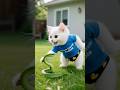 القط مشموش عضه ثعبان ووالده ضحى بأغلى ما يملك لإنقاذه Shorts Cat Ai Viral القط مشموش عضه ثعبان ووالده ضحى بأغلى ما يملك لإنقاذه Shorts Cat Ai Viral