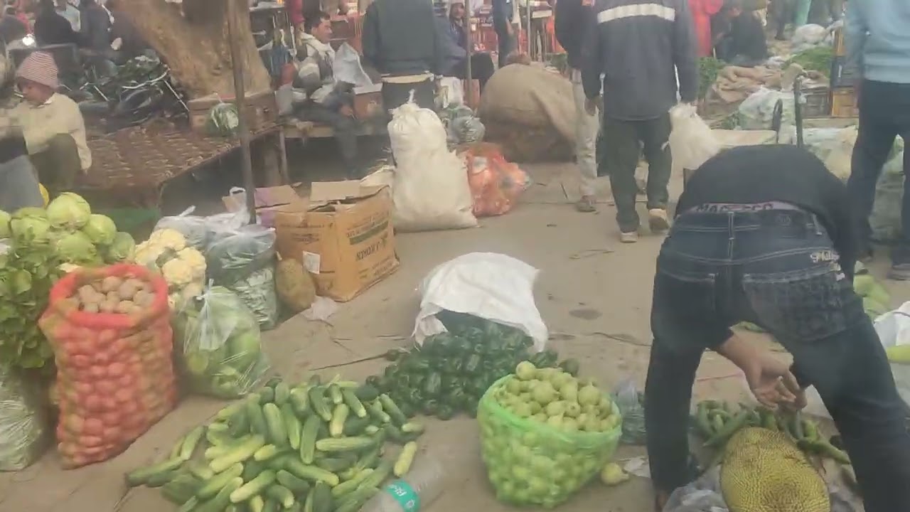 जहांगीराबाद मण्डी में मटर का थोक भाव 19₹kg #mandi vlogs #@pawan_student 