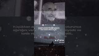 24 Fevral 2024