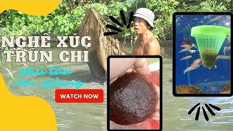 #nghềmưusinh #tập8 Xúc trùn chỉ ở Phú Tân, An Giang.