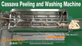 Cassava Peeling Machine 3D Working 