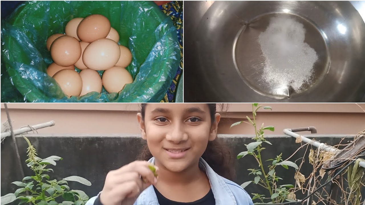 বাজার থেকে ডিম এনে কি করি স্বাস্থ্যের জন্য খুব উপকারী টিপস