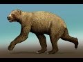 Доисторические хищники — Короткомордый медведь (Документальные фильмыo HD)