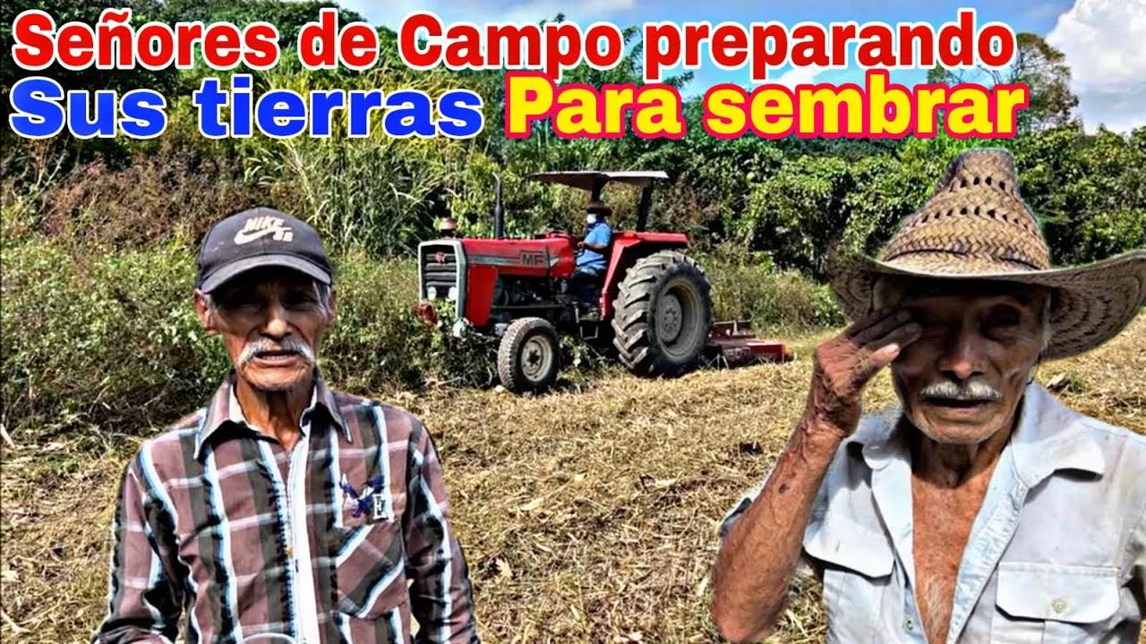 Preparando La Tierra Para La Siembra De Maíz / Trabajos Del Campesino