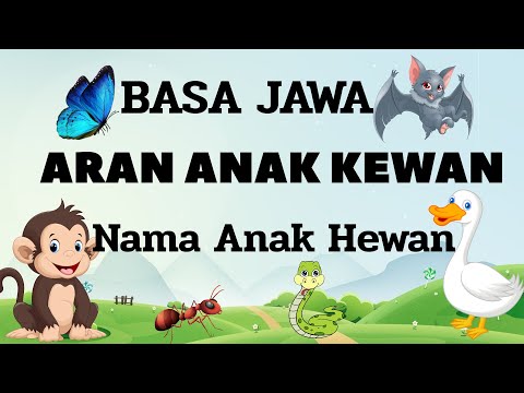 NAMA ANAK HEWAN DALAM BAHASA JAWA II ARAN ANAK KEWAN II SINAU BASA JAWA PEMULA II JENENG ANAK KEWAN