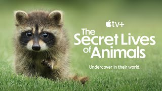 The Secret Lives Of Animals Official Trailer Bbc Studios