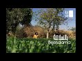 Bessalama L بالسلامة 