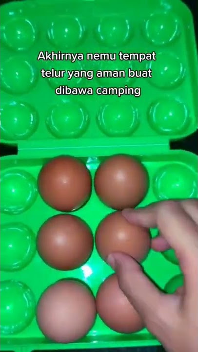 Tempat Telur Untuk Camping #short #tempattelur