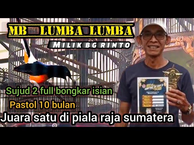 MB LUMBA LUMBA PASTOL 10 BULAN MILIK BG RINTO JUARA 1 DI PIALA RAJA SUMATERA 9 JULI 2023 class=