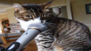 mňága a žďorp : this song