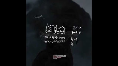 سورة الطلاق||بصوت القارئ شريف مصطفى 🥀تلاوة تهز القلوب ❤️🥀
