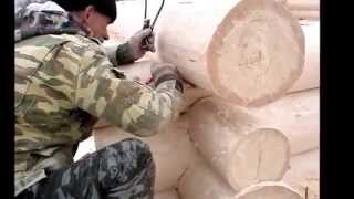 Производство срубов компании ecodom-viga ru