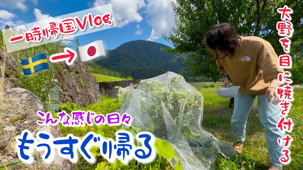 【一時帰国Vlog🇸🇪→🇯🇵】もうすぐ帰る。大野での日々【その9】