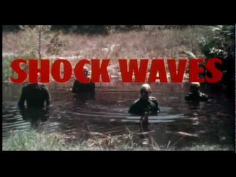 Shock Waves