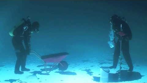 Buoyancy Quiz
