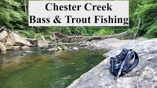 Catching Smallmouth Bass, Brown Trout and BIG Rainbow Trout at the Chester Creek