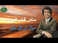 سامر فخر الدين موال ان قل مالى
