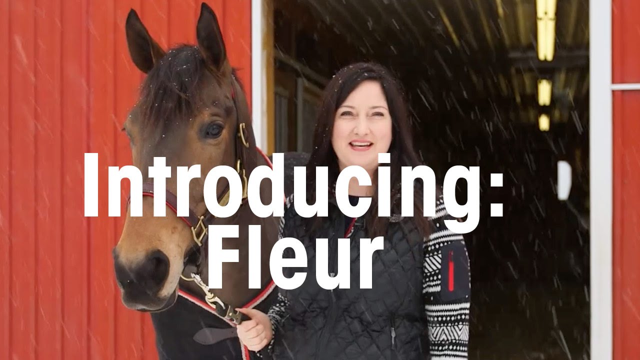 Meet Fleur, Beloved Horse of Erin McLaughlin | CBC Life