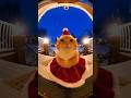 Christmas Cat Knocks on the Door and Starts Dancing! #cat #funny #christmas #animals