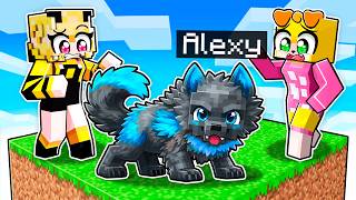 Jugando como un BEBE LOBO en UN CHUNK en Minecraft! 👶🐺