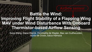 Battle the Wind: Improving Flight Stability of a Flapping Wing Micro Air Vehicle