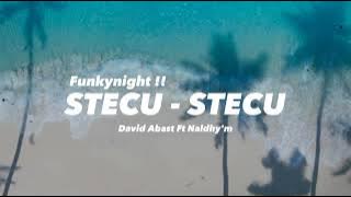 Download lagu Funkynight !! Stecu - Stecu ( David Abast Feat Naldhy'm ) Bikin Adem !