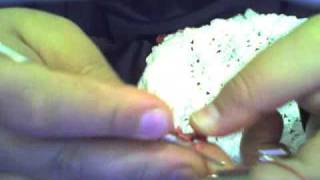 Capture 20091005