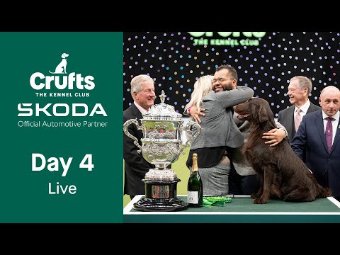 Day 4 LIVE | Crufts 2023