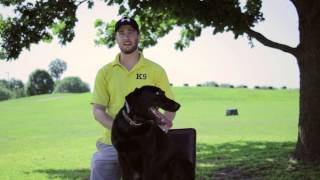 Dog Training - Tulsa Dog Training - Tip Top K9