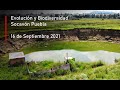 Evolución y Biodiversidad.. Actualización del Socavón Puebla Hoy 16 de Septiembre 2021