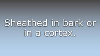 What does Corticate mean?